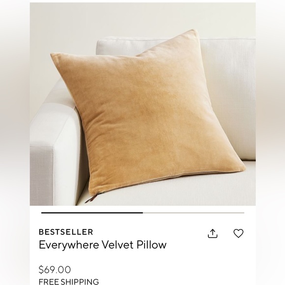 NWOT POTTERY BARN Everywhere Velvet Pillow Case - 20 x 20"- Tan /yellow - Picture 5 of 5